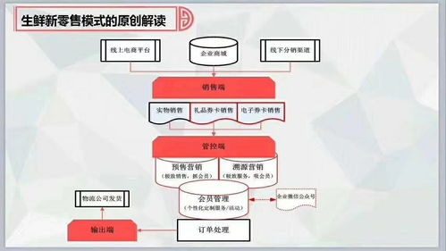 免費在線試用 軟件庫與選軟件網在信息安全軟件開發中的角色